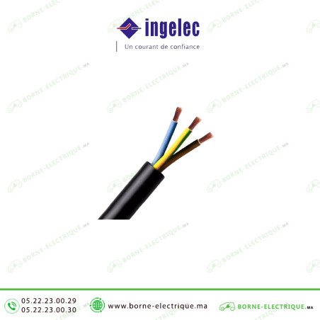 Câble souple Ingelec 3x6mm² U1000 RV-K (1ml) Casablanca Maroc