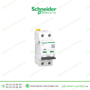 Disjoncteur SCHNEIDER iC60 2P 25A A9F74225 Casablanca Maroc